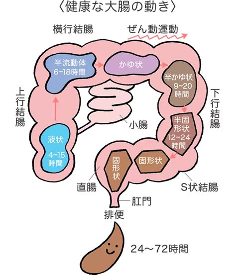 大腸 方向